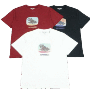 Carhartt's Tri - Color Graphic T-Shirt