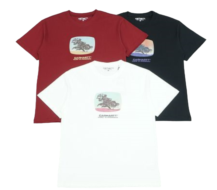 Carhartt's Tri - Color Graphic T-Shirt