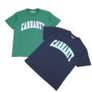 Carhartt Logo Stylish Green Navy T-Shirts