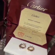 Cartier Stylish 18K Gold Diamond Hoop Earrings