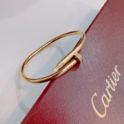 Cartier Simple Bangle Bracelet