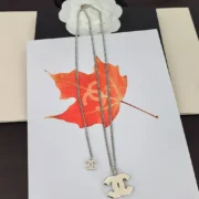 Chanel Distinctive Long Chain Necklace with CC Logo