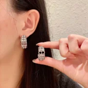 DIOR Stunning Crystal Hoop Earrings