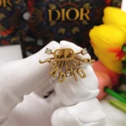 Dior Fancy CD Brooch