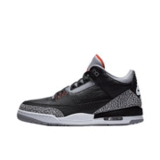 Jordan 3 Iconic Sneakers