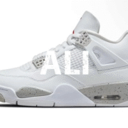 Jordan 4 - 001: Distinctive Design
