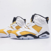 Jordan 6 Iconic Basketball Shoes