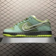 Nike Dunk Low 07????????Ь