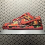 Nike Dunk Low Pro: Camo Adventure