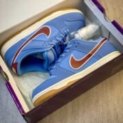 Nike Dunk Low Blue: Distinctive Sneakers