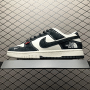 Nike Dunk Low: The North Face Adventure Edition