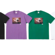 Supreme x MF DOOM Distinctive Tee