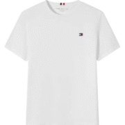 Tommy Hilfiger Shirts in 6 Colors