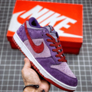 Dunk Collection 803's Unique Flair