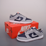 Nike SB Dunk Low Skateboarding Essential