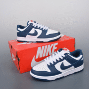 Nike SB Dunk Low Retro in Valerian Hue