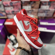 Nike SB Zoom Dunk Low Mystique 005