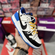 Nike SB Zoom Dunk Low 010 Style
