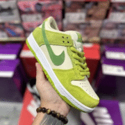 Nike SB Zoom Dunk Low 008: Skateboard Vibes