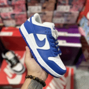 nike sb zoom dunk low 3 special style