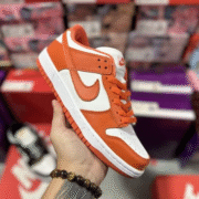 nike sb zoom dunk low 10 Feature Sneakers