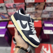 Nike SB Zoom Dunk Low 4: Trendy Kicks