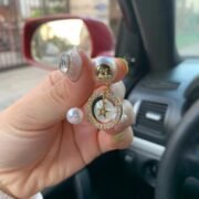 Dior Elegant Earrings-4