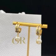 Dior Brilliant Earrings-102