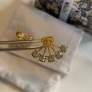 Dior Glamorous Earrings-100