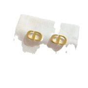 Dior Striking Earrings-46