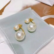 Dior Striking Earrings-24
