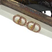 Dior Enchanting Earrings-17
