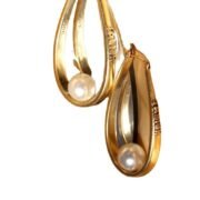 Dior Stunning Earrings-48