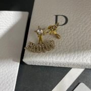 Dior Elegant Earrings - 79