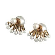 Dior Charming Earrings-14