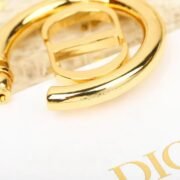 Dior Stunning Earrings-65