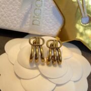 Dior Fancy Earrings-60