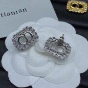 Dior Sparkling Earrings-99