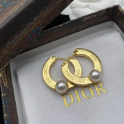Dior Chic Earrings-35