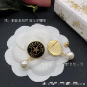 Dior Stunning Earrings-111