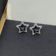 Dior Lovely Earrings-30