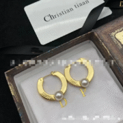 Dior Fabulous Earrings-44